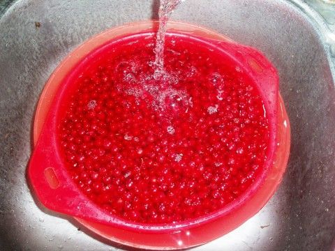 Рецепт соуса из красной смородины