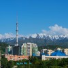 Объявления города Алматы
